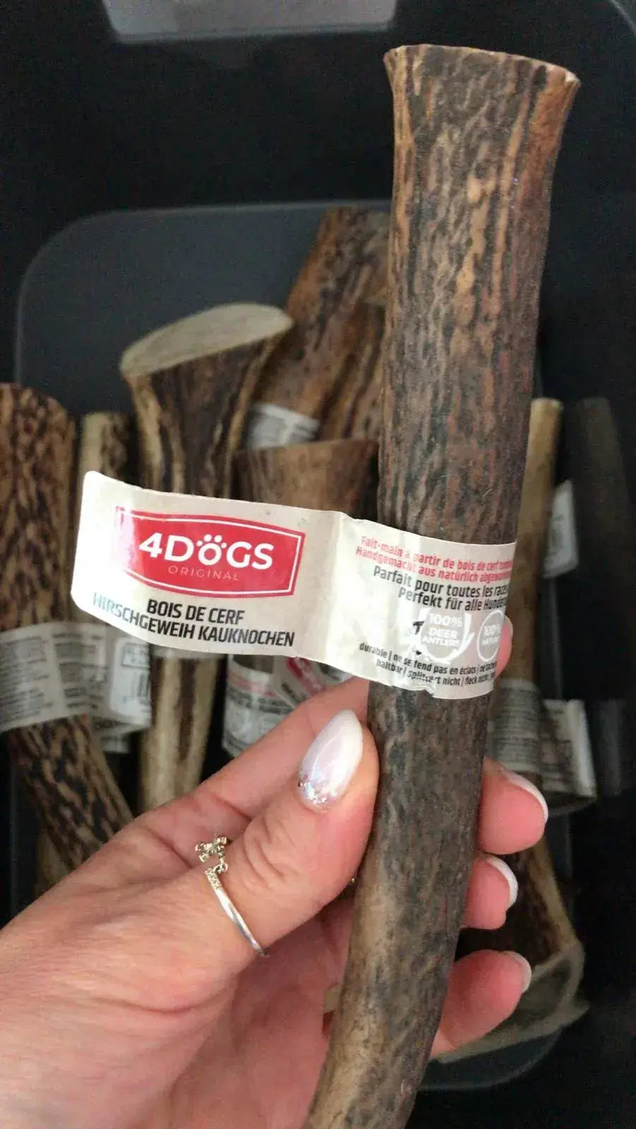 Bois de cerf dur XL (18cm) - 113g - Friandises de mastication longue durée 4DogsOriginal