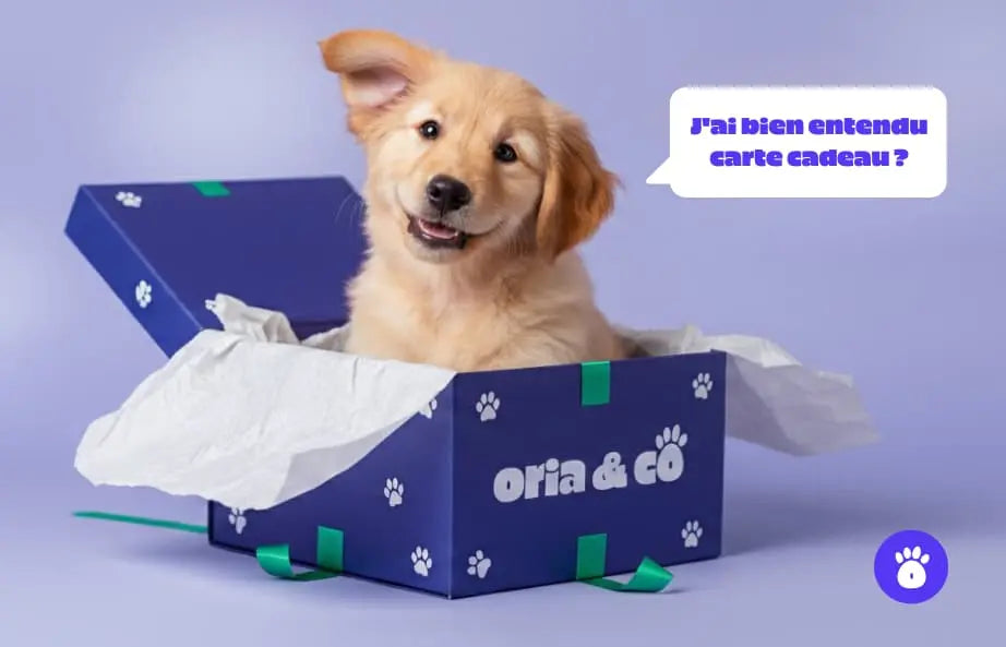 Carte cadeau Oria & Co chiot