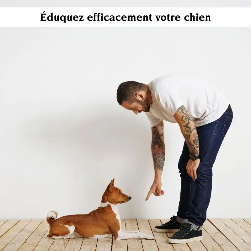 E-Book : L'éducation de votre chien - Oria & Co