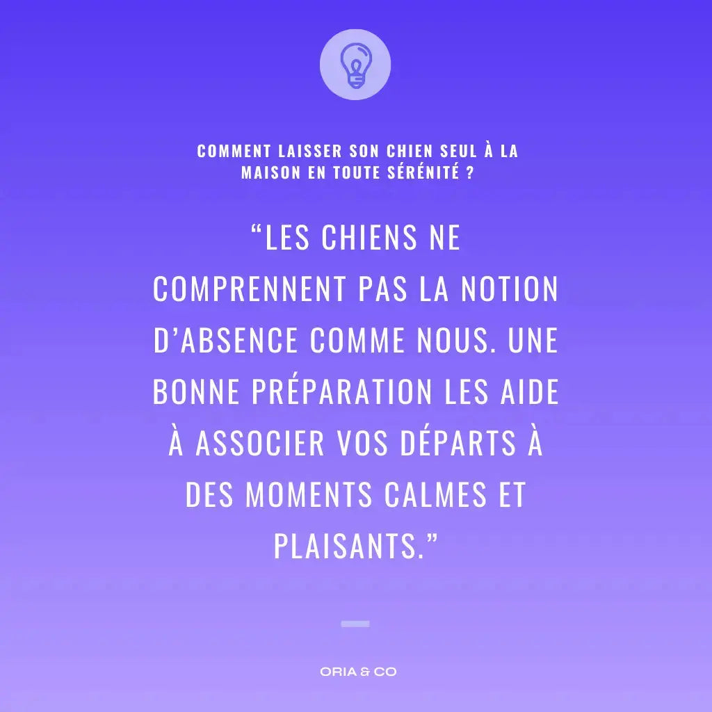 EBook : Laissez votre chien seul à la maison en toute sécurité Oria & Co