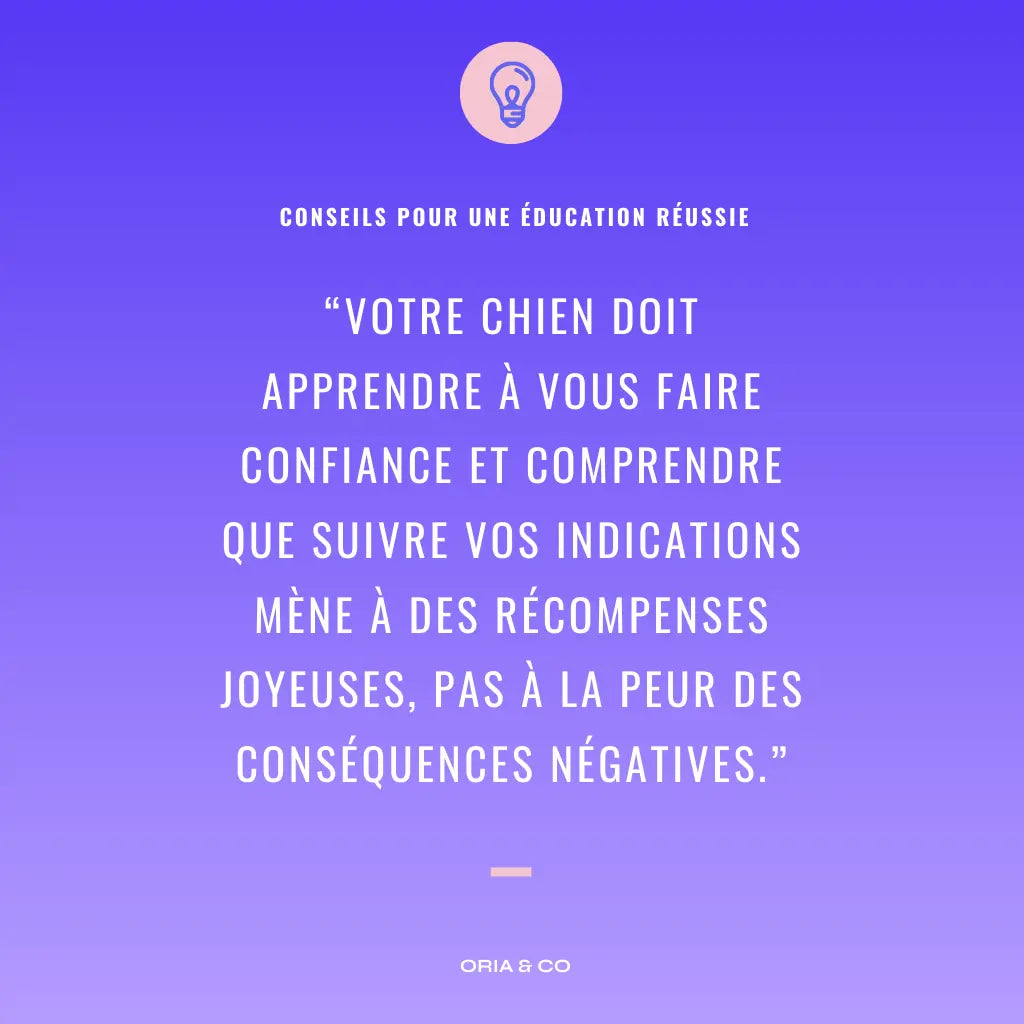 EBook : L'éducation de votre chien Oria & Co