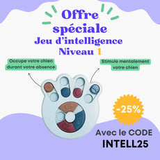 Jeu d'intelligence niveau 1 Oria & Co