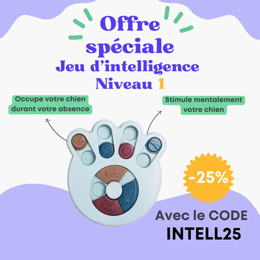 Jeu d'intelligence niveau 1 Oria & Co