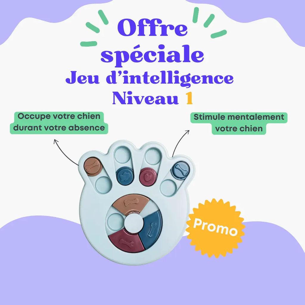 Jeu d'intelligence niveau 1 Oria & Co