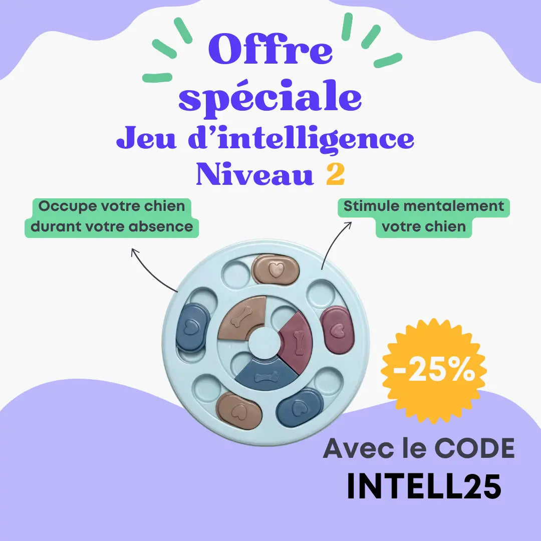Jeu d'intelligence niveau 2 Oria & Co