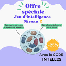 Jeu d'intelligence niveau 2 Oria & Co