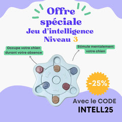 Jeu d'intelligence niveau 3