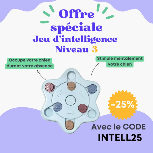 Jeu d'intelligence niveau 3 Oria & Co