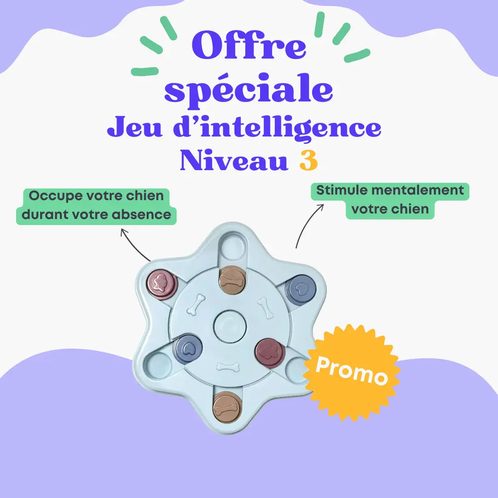 Jeu d'intelligence niveau 3 Oria & Co