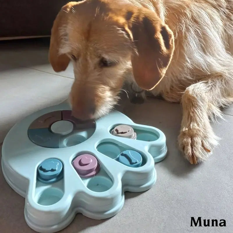 utilisation du jeu d'intelligence pour chien Niveau 1 - Oria & Co