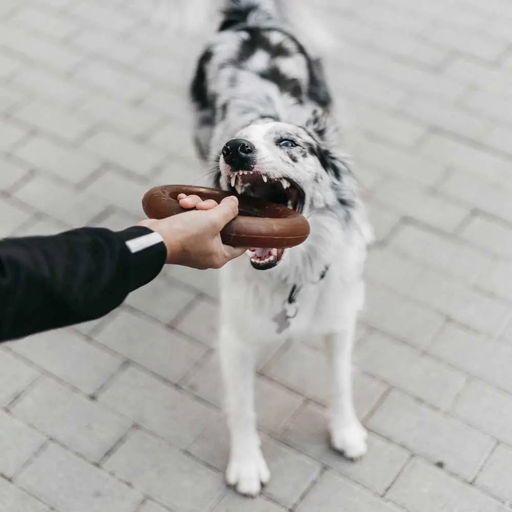 Jouet d'interaction pour chien - Rub Bite POCURULL SL (Retorn)