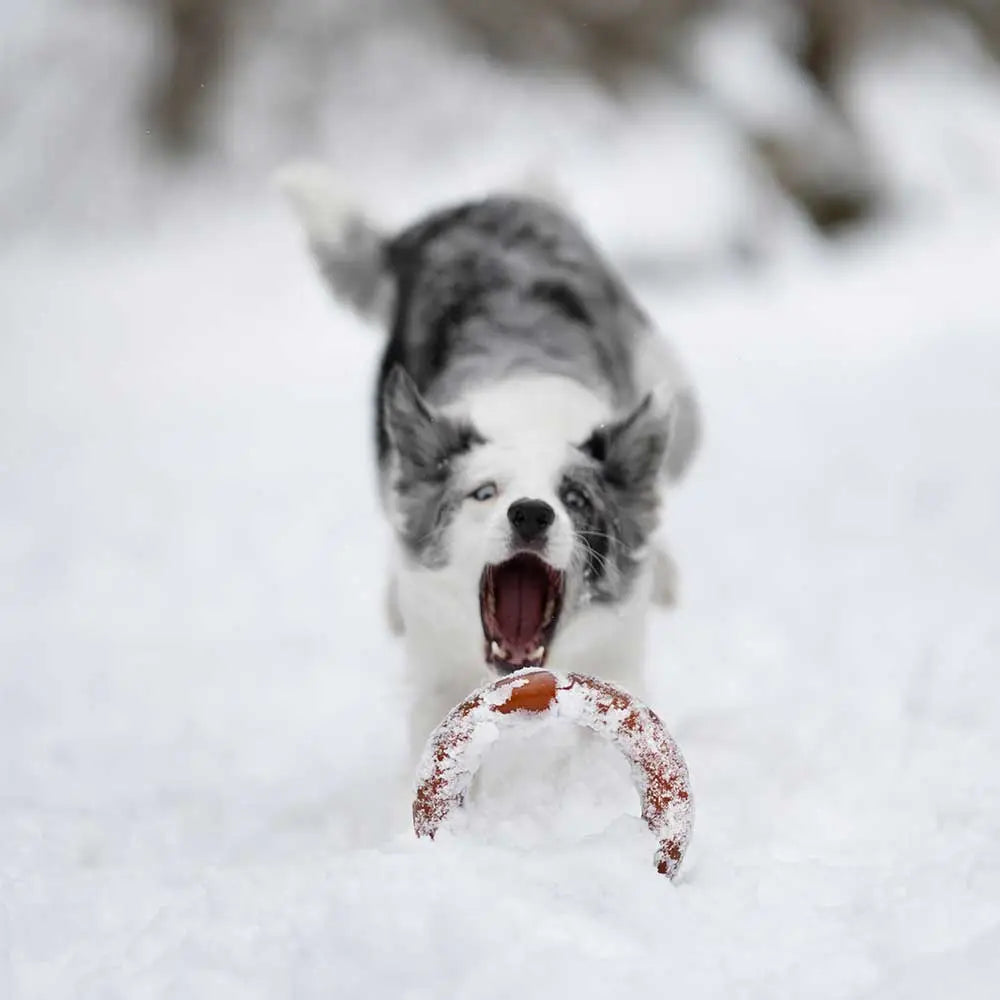 Jouet d'interaction pour chien - Rub Bite POCURULL SL (Retorn)