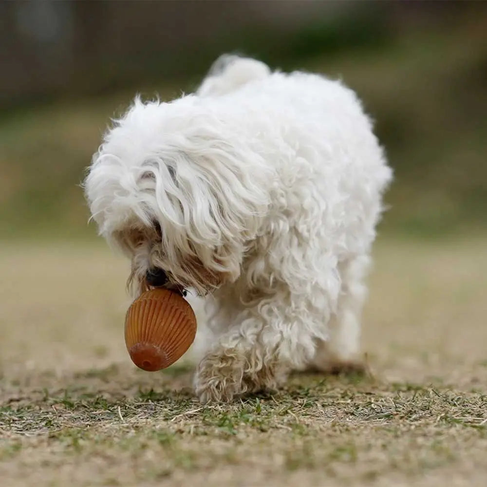 Jouet pour chien Rub Gossy Egg POCURULL SL (Retorn)