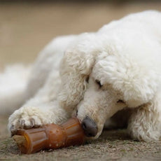 Jouet pour chien Rub Loop Treat POCURULL SL (Retorn)