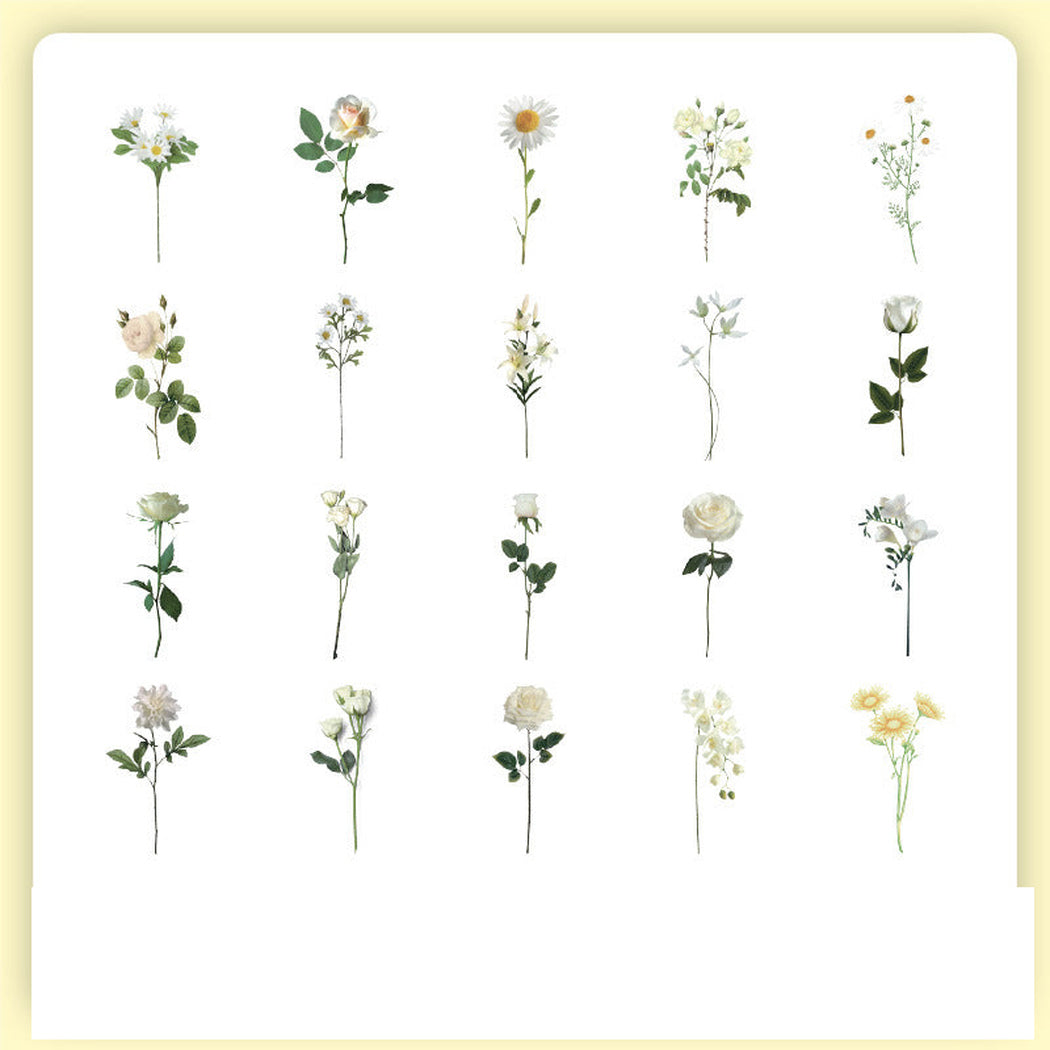 WhiteFlora Vintage Botanical Insect Sticker Pack, single variant view