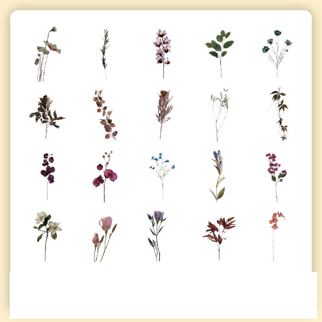 MixedFlora Vintage Botanical Insect Sticker Pack, single variant view