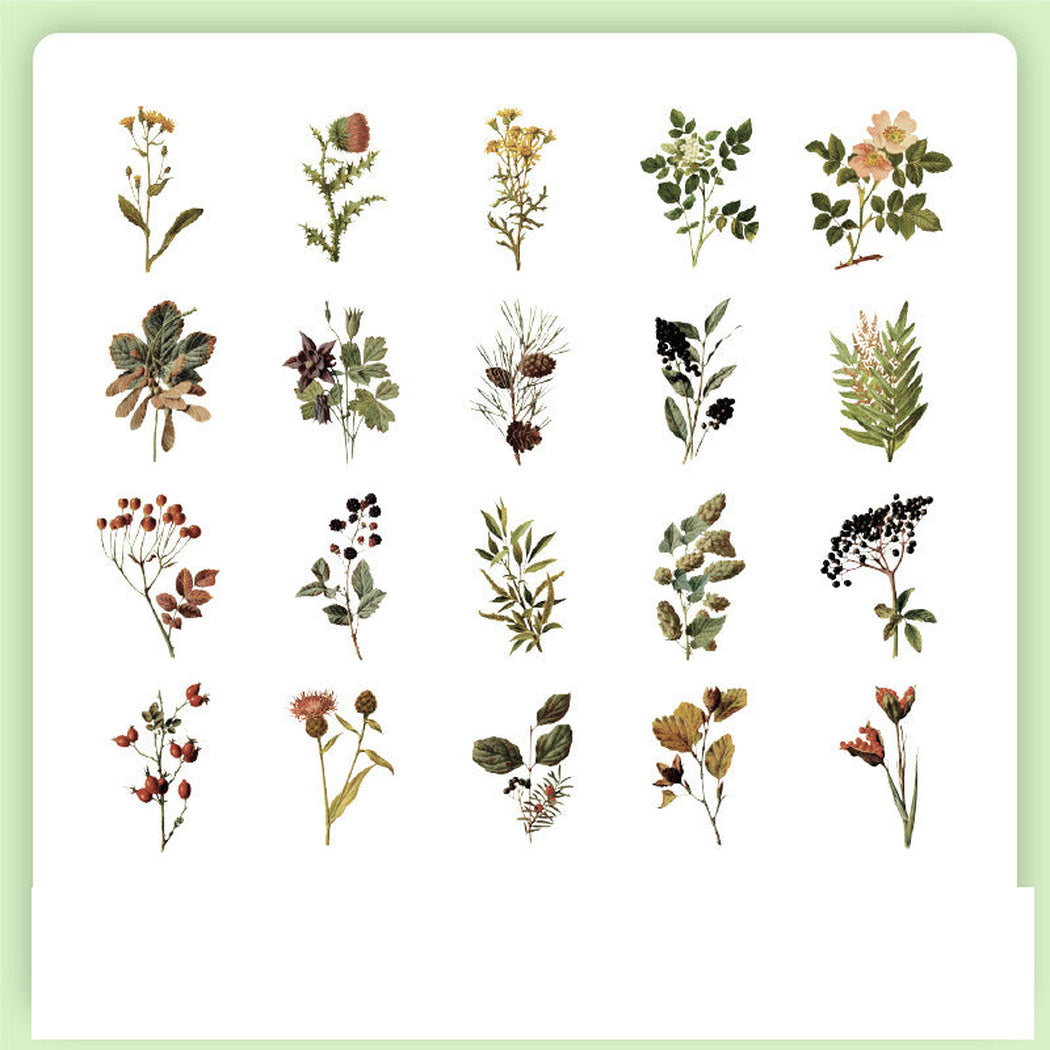 Meadow Vintage Botanical Insect Sticker Pack, single variant view