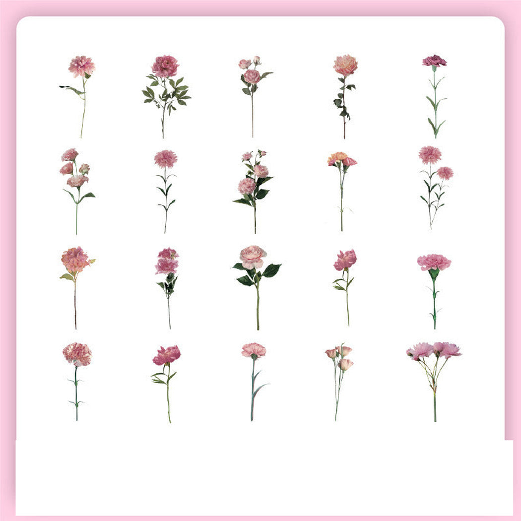DreamMix Vintage Botanical Insect Sticker Pack, single variant view