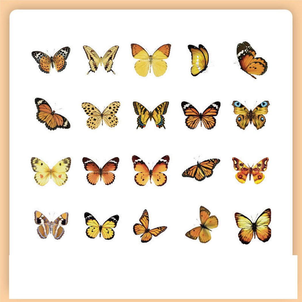 AmberWing Vintage Botanical Insect Sticker Pack, single variant view
