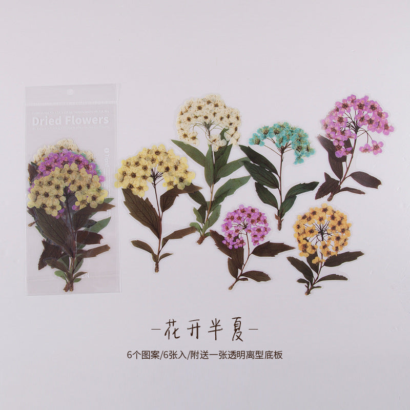 陌境PET手帐贴纸 周末花店系列 复古植物素材贴画拼贴装饰6张 8款