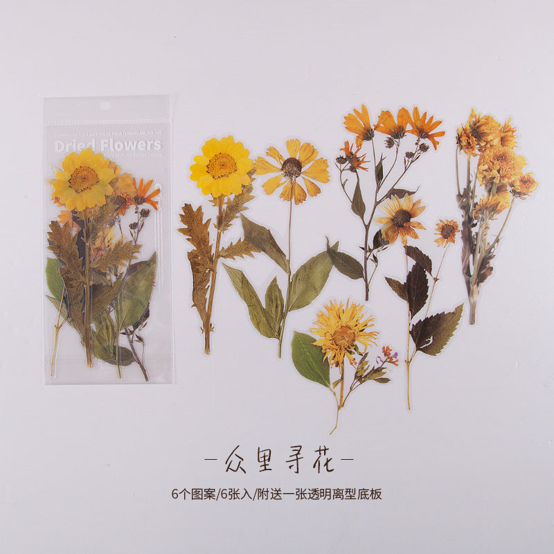 陌境PET手帐贴纸 周末花店系列 复古植物素材贴画拼贴装饰6张 8款