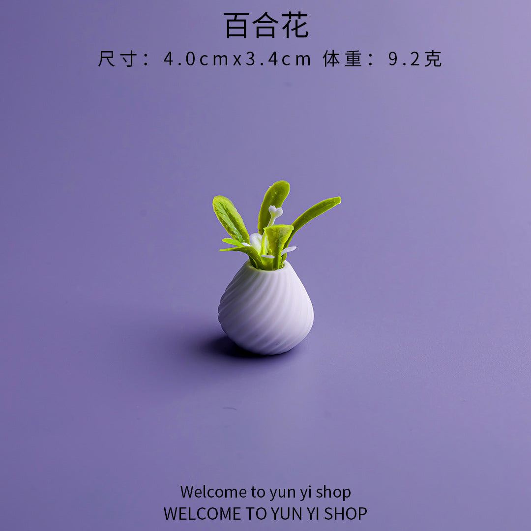 微景观创意迷你花瓶摆件 新品家居装饰品diy娃娃屋车载桌面小摆件