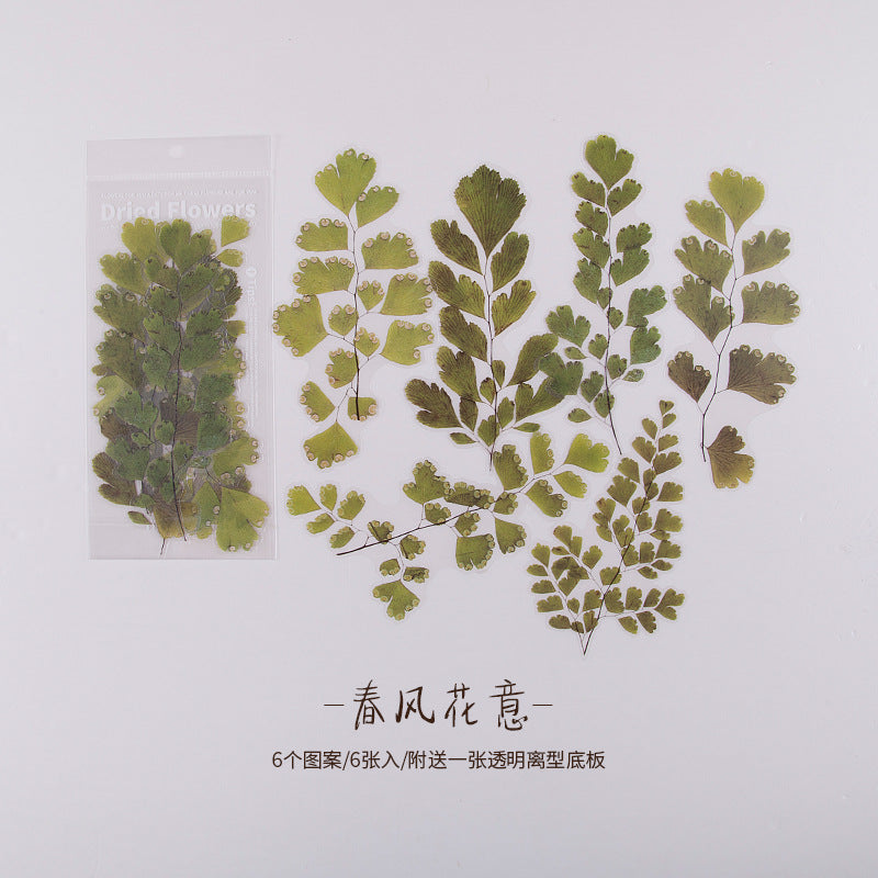 陌境PET手帐贴纸 周末花店系列 复古植物素材贴画拼贴装饰6张 8款