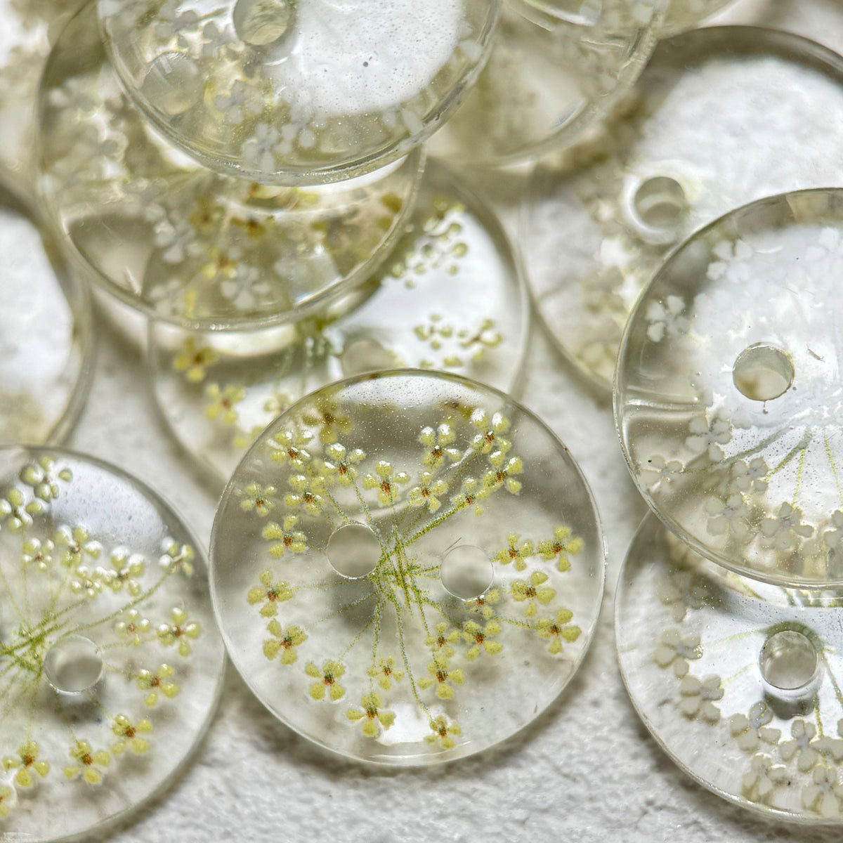 Bunli - DIY 10 Pack Transparent Botanical Round Button