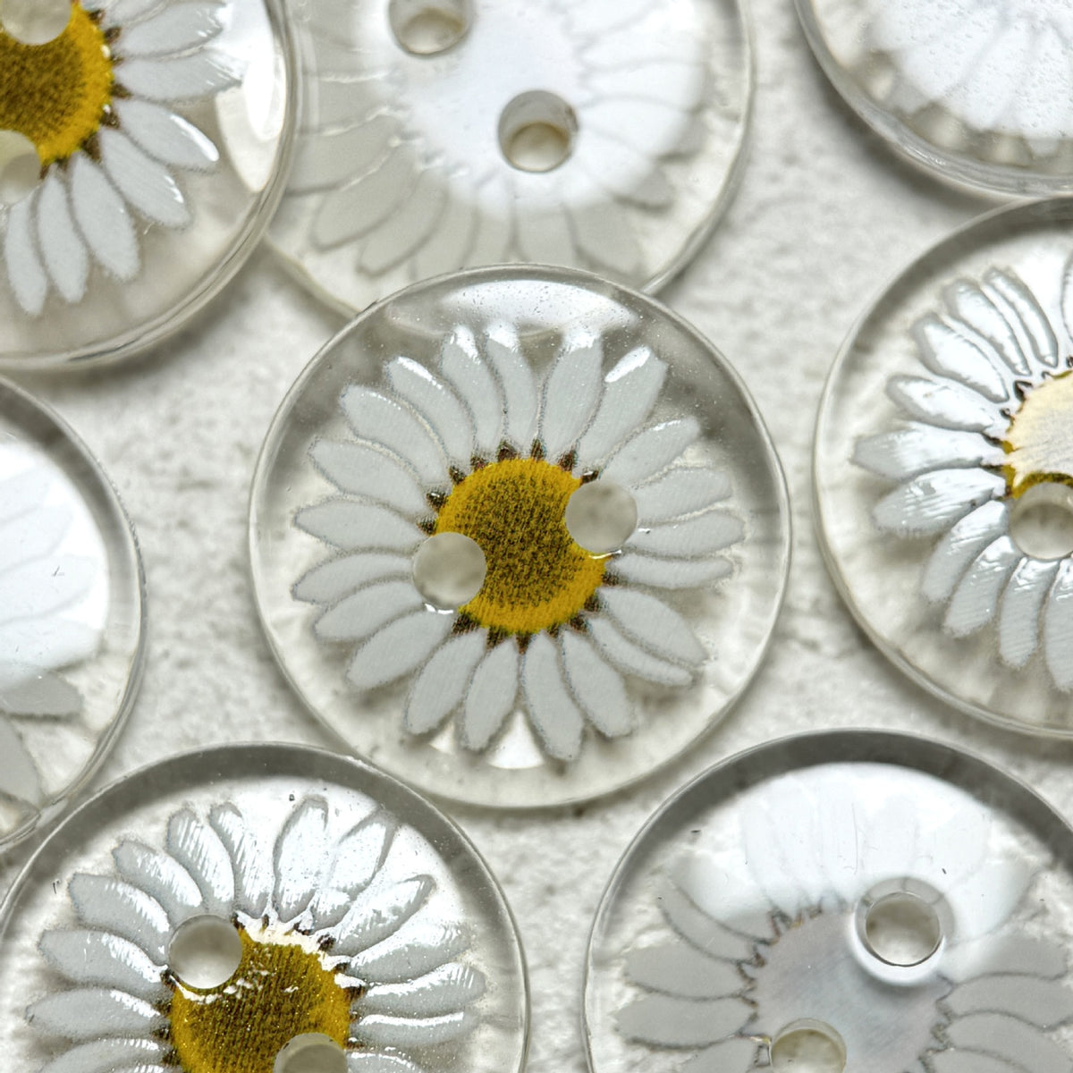 Bunli - DIY 10 Pack Transparent Botanical Round Button