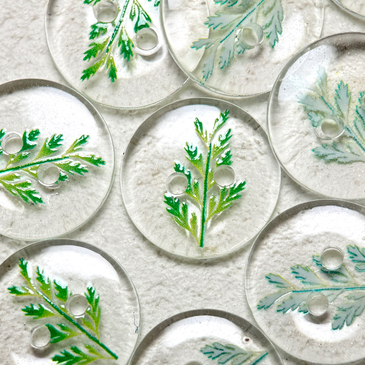 Bunli - DIY 10 Pack Transparent Botanical Round Button
