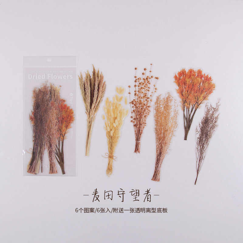 陌境PET手帐贴纸 周末花店系列 复古植物素材贴画拼贴装饰6张 8款