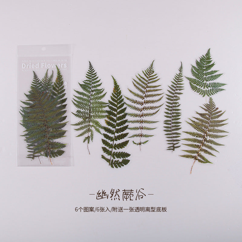 陌境PET手帐贴纸 周末花店系列 复古植物素材贴画拼贴装饰6张 8款