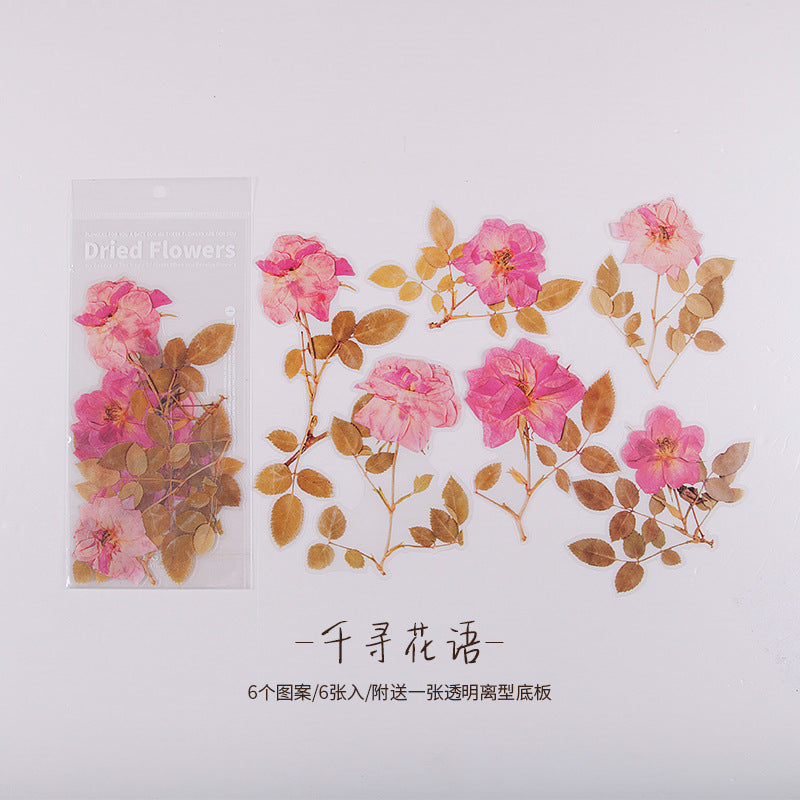 陌境PET手帐贴纸 周末花店系列 复古植物素材贴画拼贴装饰6张 8款