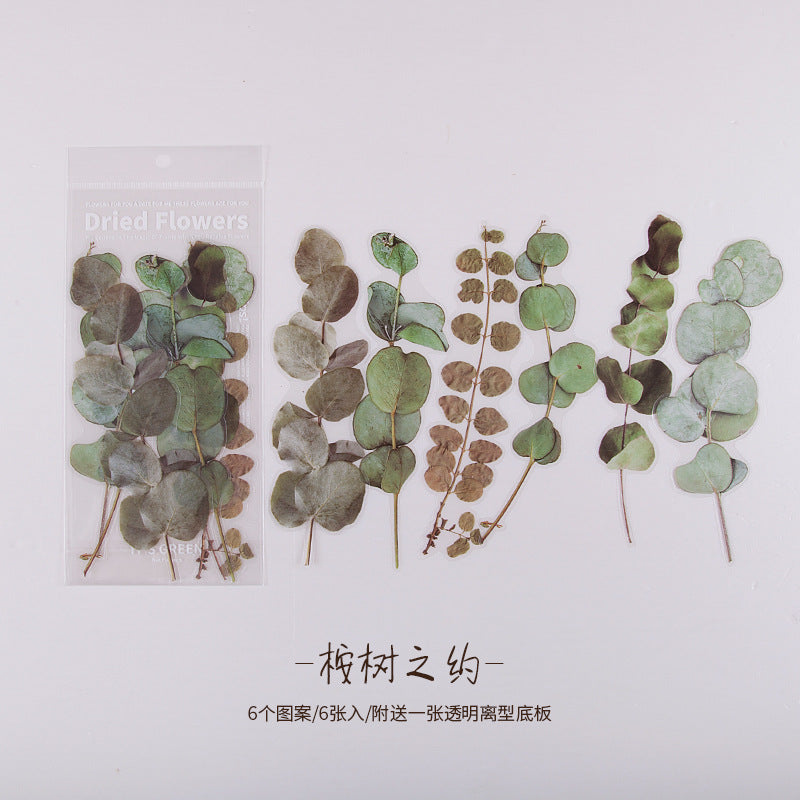 陌境PET手帐贴纸 周末花店系列 复古植物素材贴画拼贴装饰6张 8款