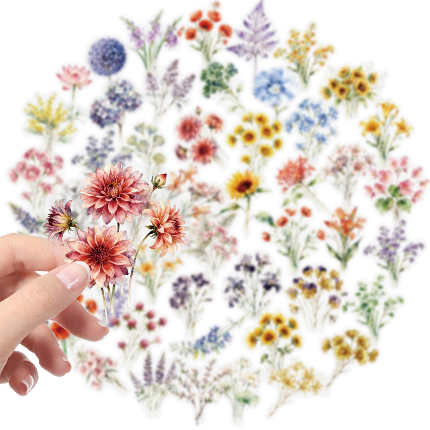 跨境50张水墨花卉贴纸防水透明PET创意手帐贴DIY日记冰箱手机贴画