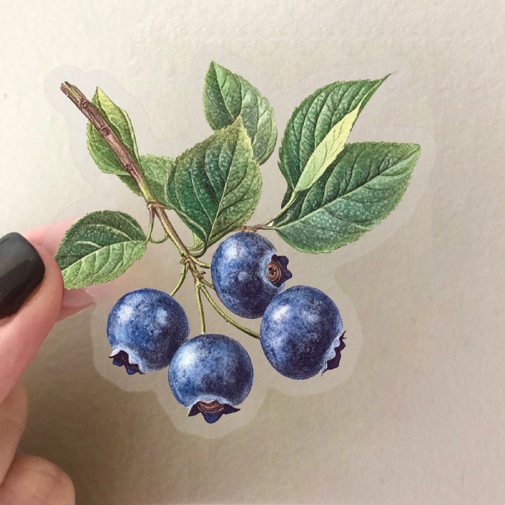 50张复古果实pet贴纸免裁剪写实水果装饰手账素材diy拼贴小图案