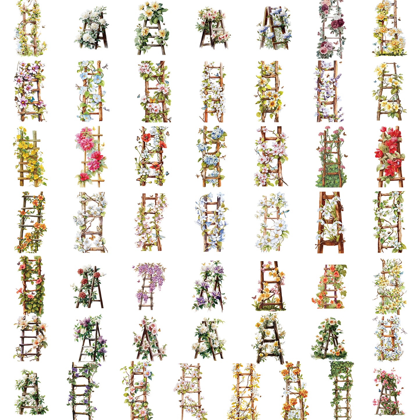 50张花梯贴纸包PET透明防水复古自然写实花卉手帐素材行李箱贴画