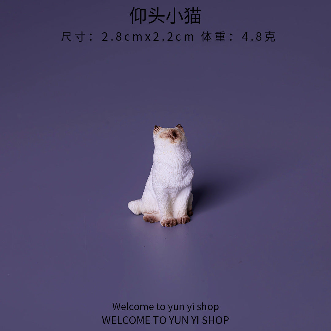 微景观写实小猫 创意树脂摆件卡通可爱小猫 办公室车载桌面小摆件