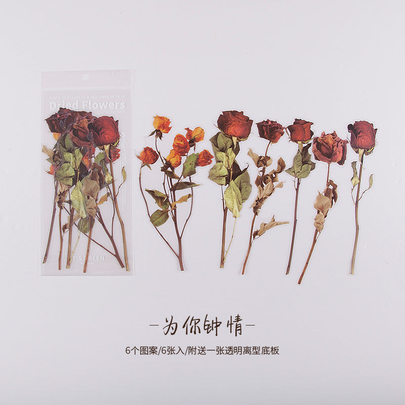 陌境PET手帐贴纸 周末花店系列 复古植物素材贴画拼贴装饰6张 8款
