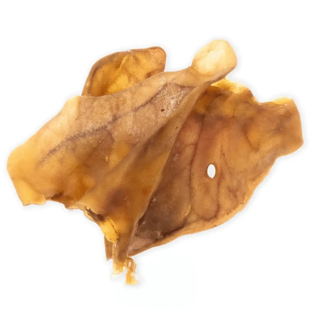 Oreilles de porc séchées pour chien - Lot de 10 4DogsOriginal