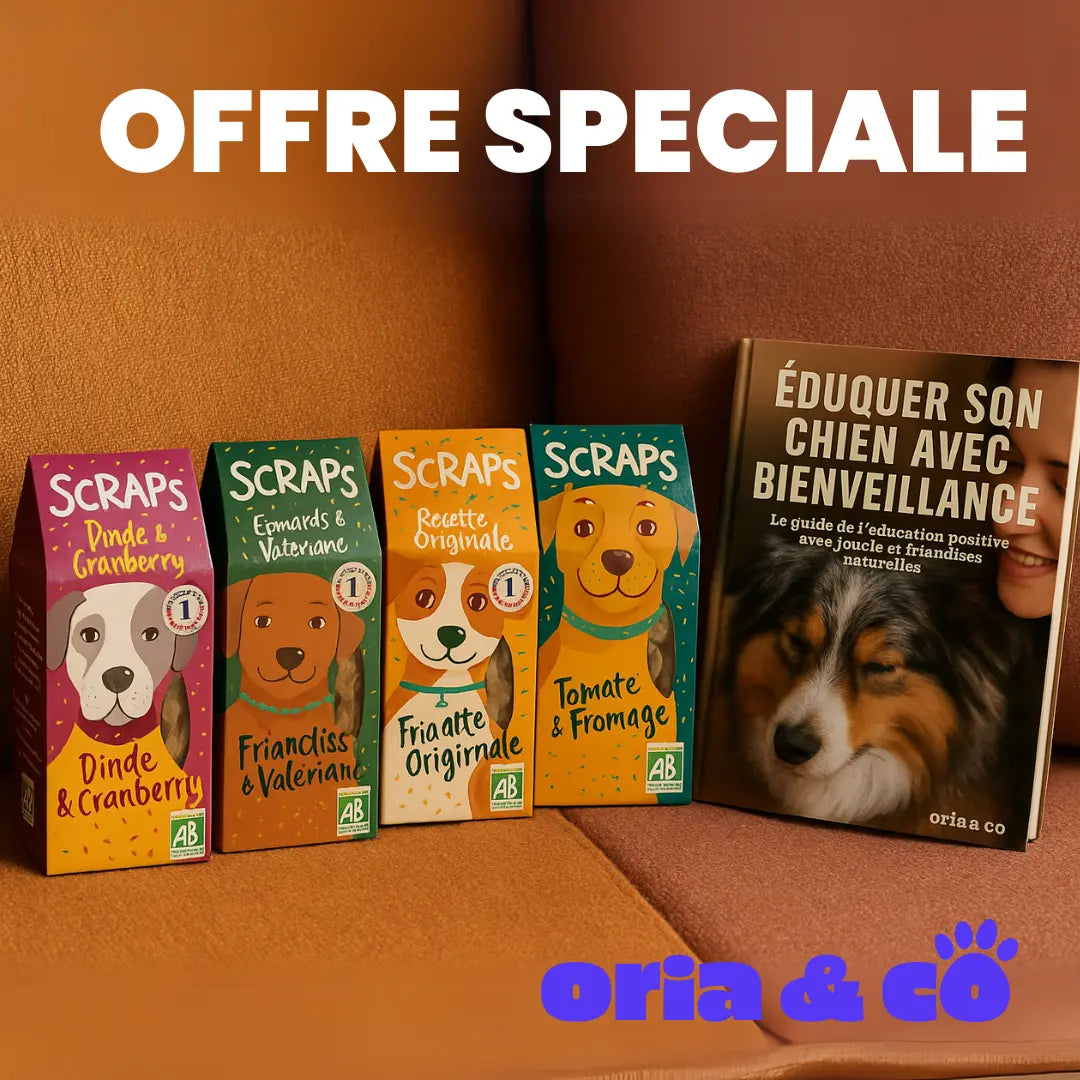 Pack Découverte friandises BIO pour chien 4 x 120g + 1 Guide offert SCRAPS Gourmet