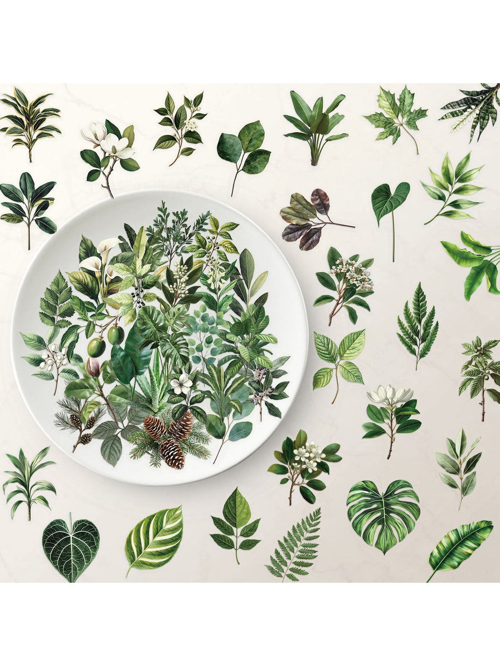 Lunira - 50 Piece Plant Leaf Journal Stickers pack Oria & Co