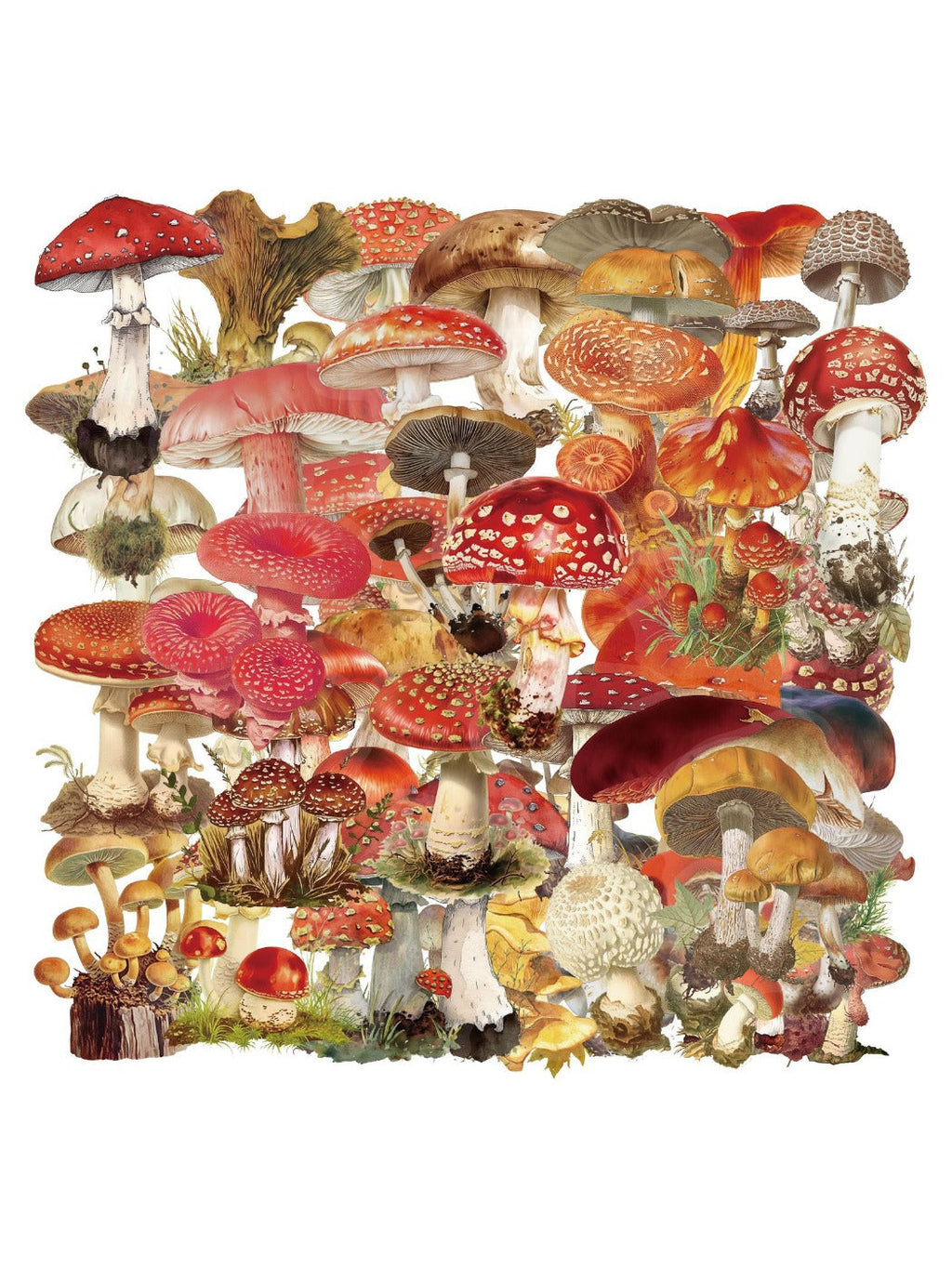 Colorful cartoon mushroom sticker with red cap and white spots