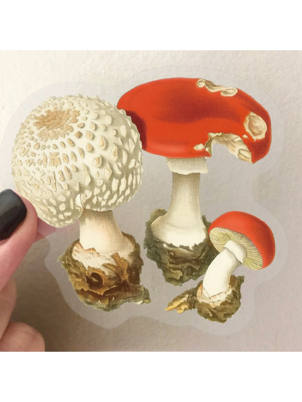 Whimsical cartoon mushroom sticker with pink cap and happy expression