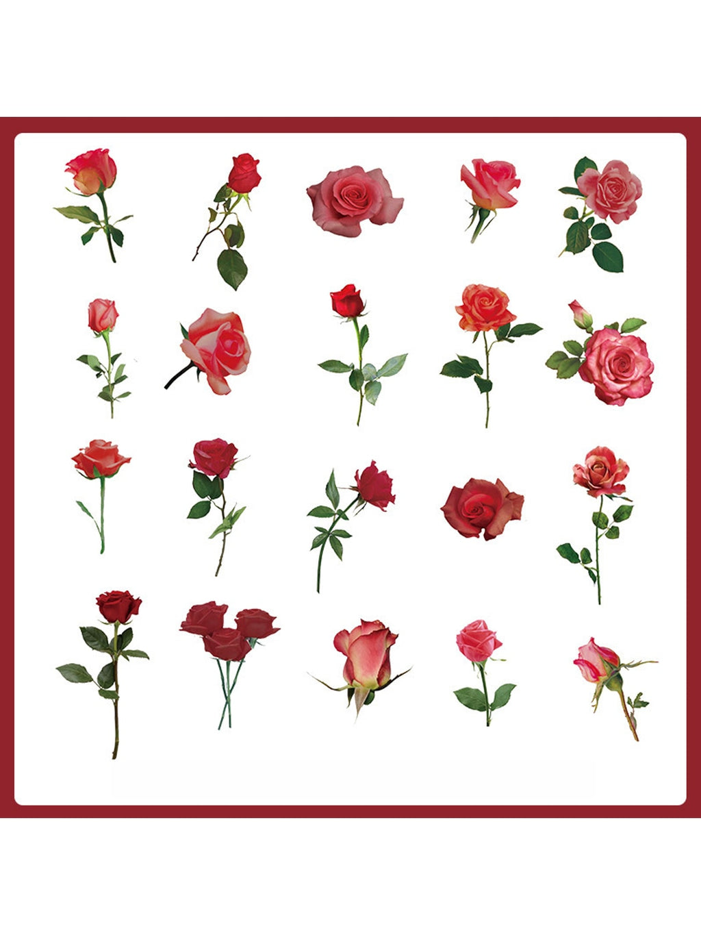 Lunira - Rose and Botanical Journal Decor Stickers Pack Oria & Co