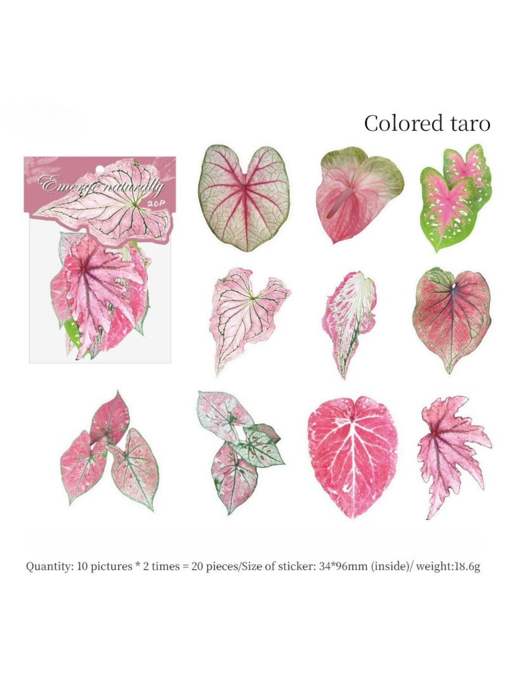 Set of various shaped green leaf stickers from Lunira lifelike leaf pack
