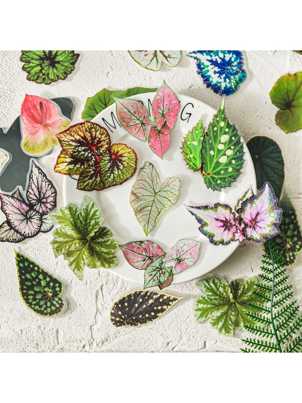 Lifelike green leaf sticker on white background from Lunira sticker pack