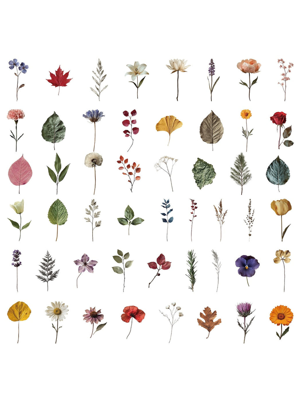 Lunira - Retro Plant and Flower Decoration Stickers Pack Oria & Co