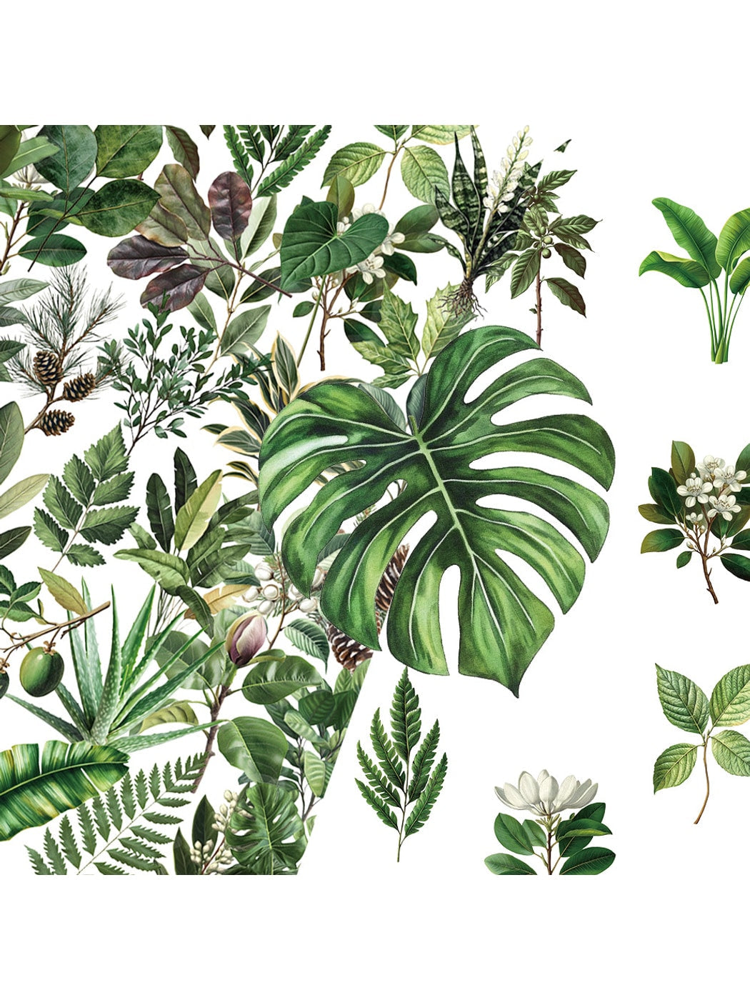 Lunira - 50 Piece Plant Leaf Journal Stickers pack Oria & Co