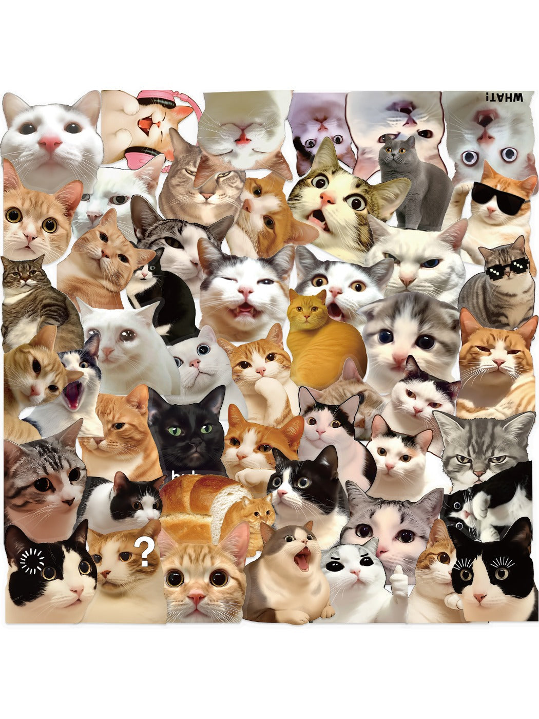 Lunira cute cat sticker showing a smiling cat with a pink bow